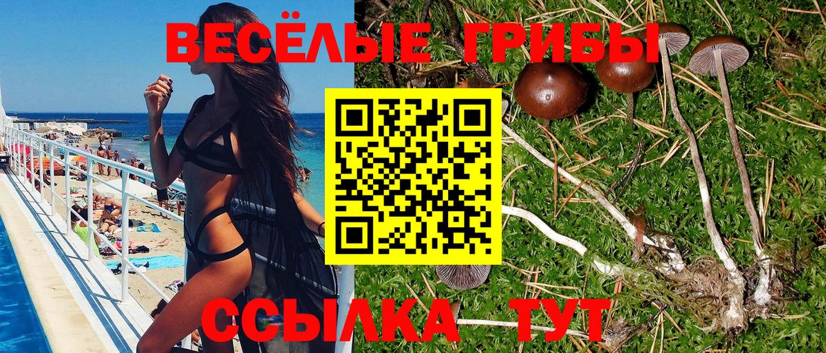 Псилоцибиновые грибы MAGIC MUSHROOMS Аша